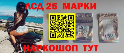 стафф Гатчина