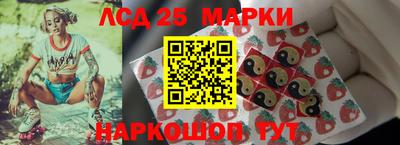 стафф Гатчина