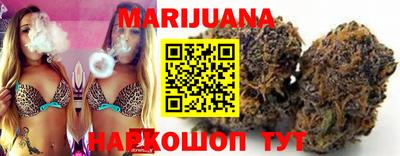 стафф Гатчина