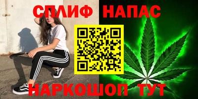 стафф Гатчина